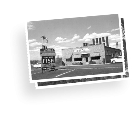 Morey's Fine Fish & Seafood